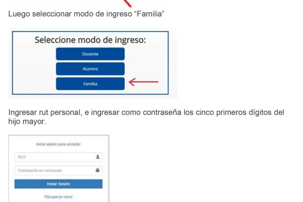 Manual de acceso para visualizar notas de alumnos.